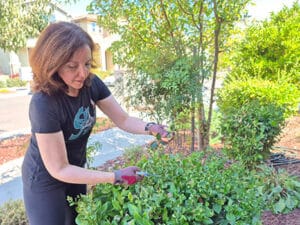 Heather caring for her outdoor plants